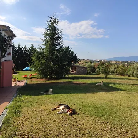 Avra
